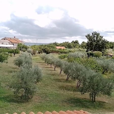 Apartma Barizoni Ankaran Εξωτερικό φωτογραφία