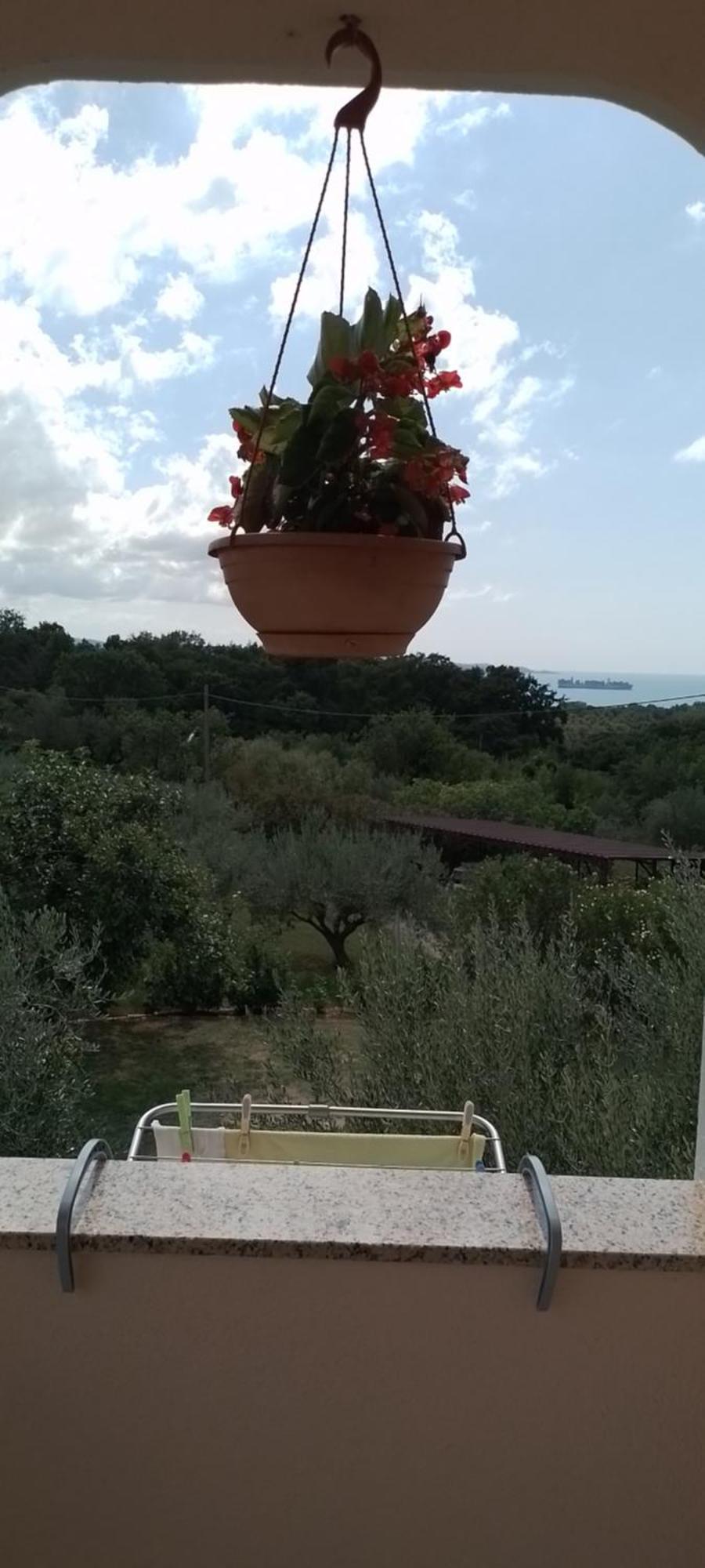 Apartma Barizoni Ankaran Εξωτερικό φωτογραφία